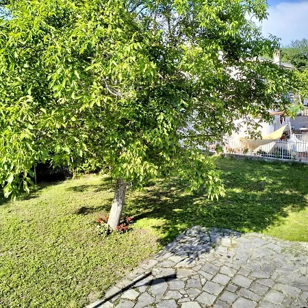 Dimora Schiappone Accommodatie bij particulieren Barano dʼIschia